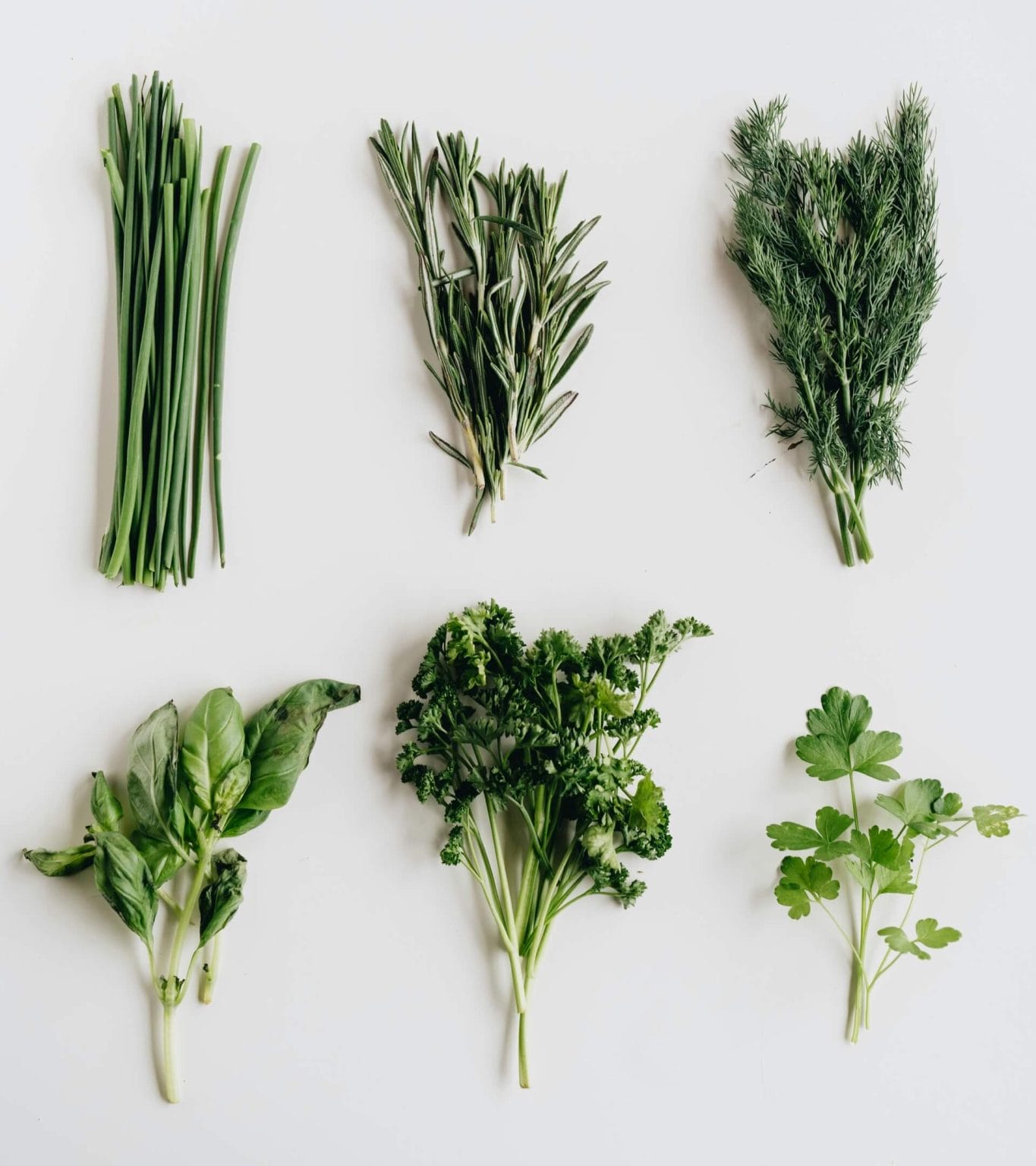 Fresh chives, rosemary, dill, basil, parsley and coriander